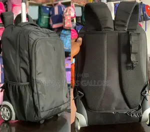 Quality 20-Inch Trolley Traveling Backpack