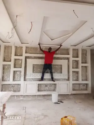 Tv Stand Designer and Ceiling Installation