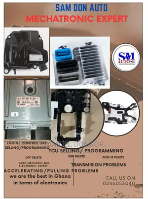 Selling, Programming And Repairs Of Electronic Vehicles