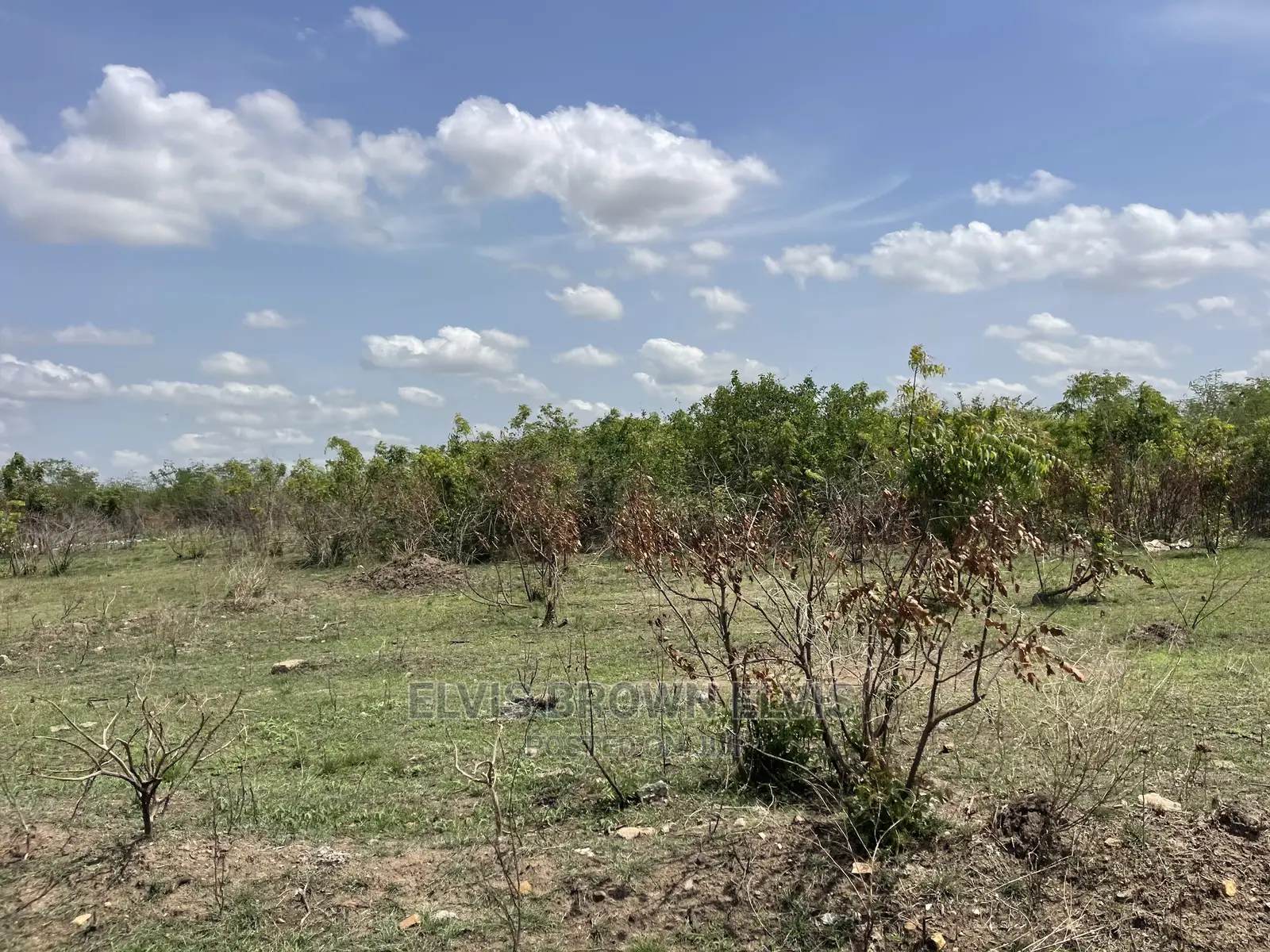 Do You Need a Land to Buy and Also Have a Car to Swap With