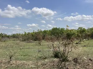 Do You Need a Land to Buy and Also Have a Car to Swap With