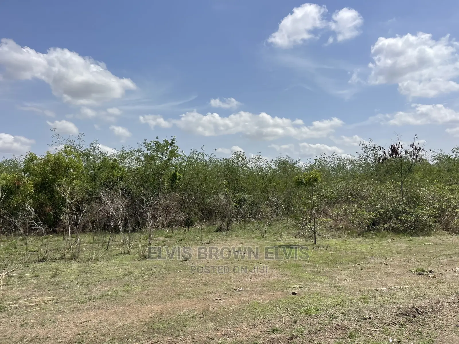 Available Verging Lands for Sale at West Trasacco