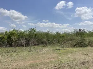 Available Verging Lands for Sale at West Trasacco