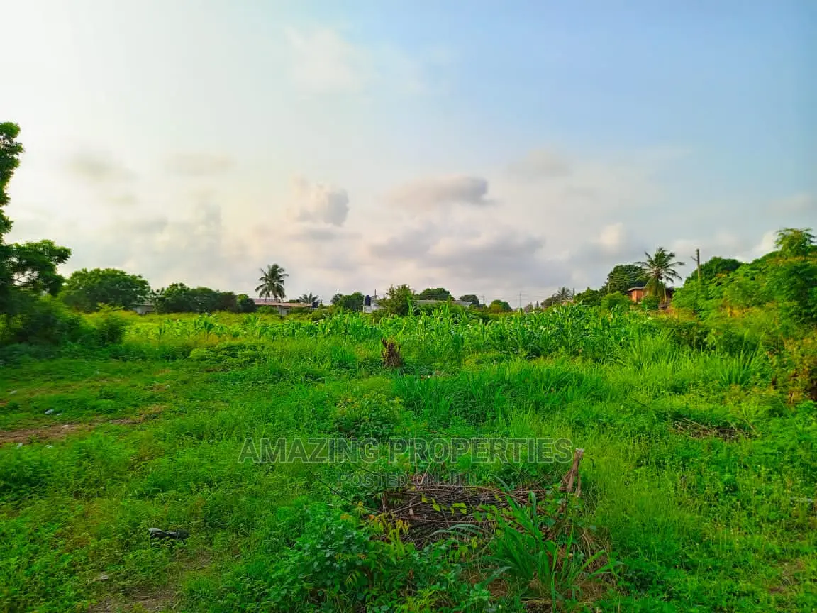 1 Acre Land for Sale at Lakeside