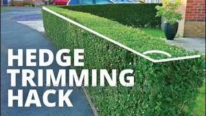 Lawn Mowing Maintenance Edging Landscaping Hedges Trimming