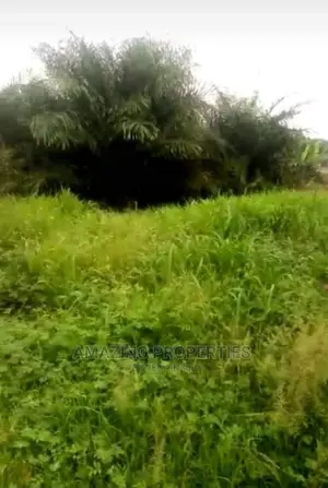 4 Plots of Land at Sakumono Estate