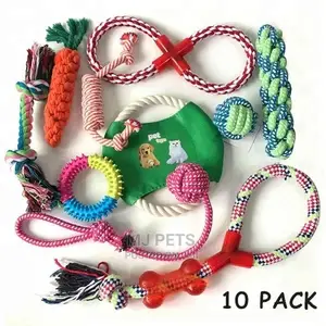 Dog Playing Toys