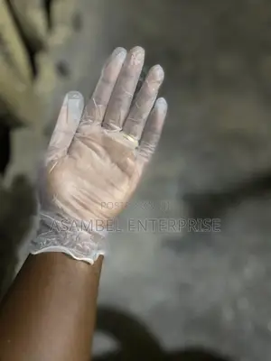 Vinyl Disposable Examination Powder Free Gloves