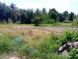 14 Plots of Land for Sale at Abattoir, Close to Motorway