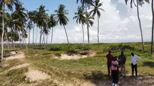 10 Plots of Beach Land Now Selling at Gomoa Fetteh