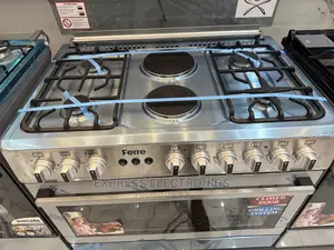 Authentic and Sleek Ferre 2-4 Stove Grill Rotisserie Cooker
