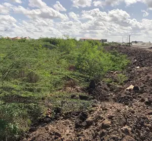19 Acres of Land at Trasacco