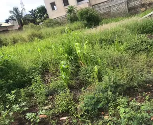 20 Acres of Land at West Trasacco