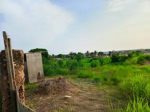 20 Acres of Land at West Trasacco