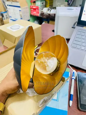 Shell Outdoor/Indoor Wall Light