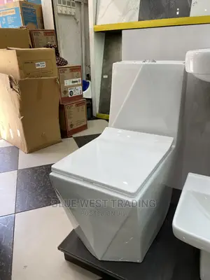 Water Closet - One Piece Water Closet - Diamond Shaped WC
