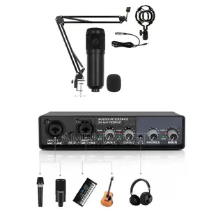 Audio Interface With Studio Microphone. Live Recording