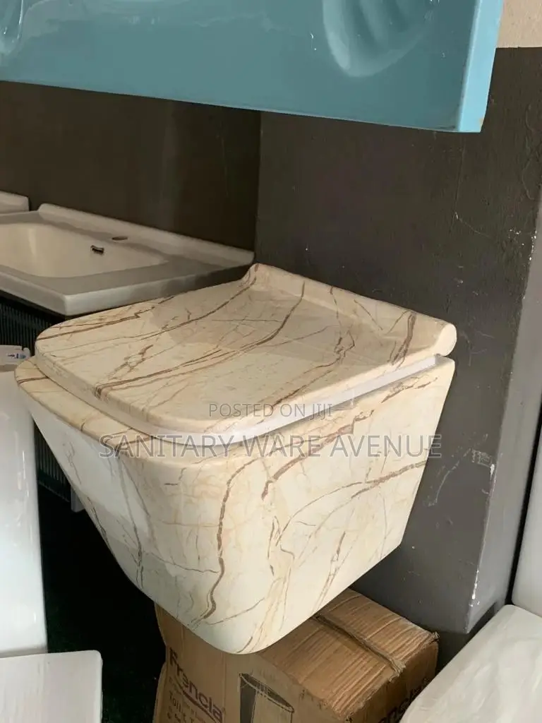 Hanging WC - Concealed Toilet - Wall Hung WC