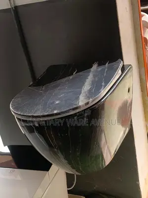 Black Toilet Bowl - Hanging WC - Concealed Toilet