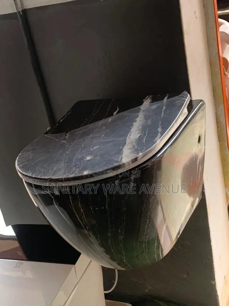 Black Toilet Bowl - Hanging WC - Concealed Toilet
