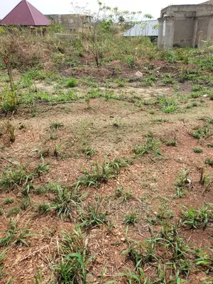 Two Plots of Lands at Santasi Darko