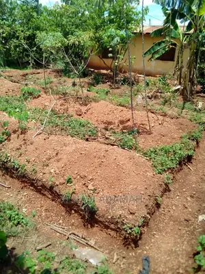 Two Plots of Lands at Santasi Darko