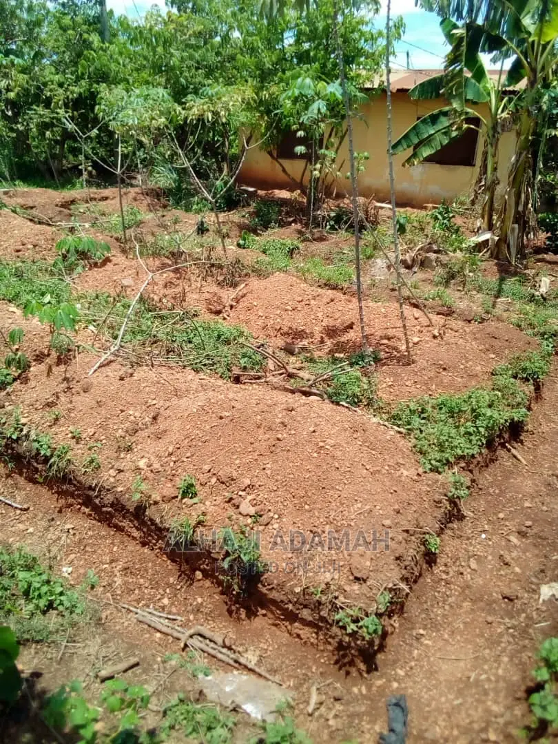 Two Plots of Lands at Santasi Darko