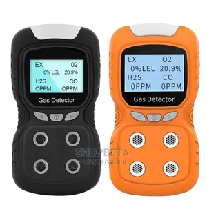 Best 4in 1 Gas Detector