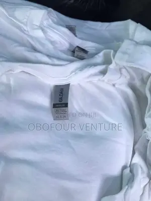Quality Unisex Plain T-Shirt From USA 