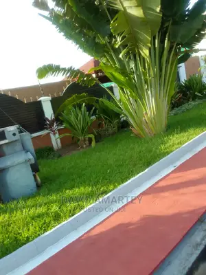 Landscaping Experts
