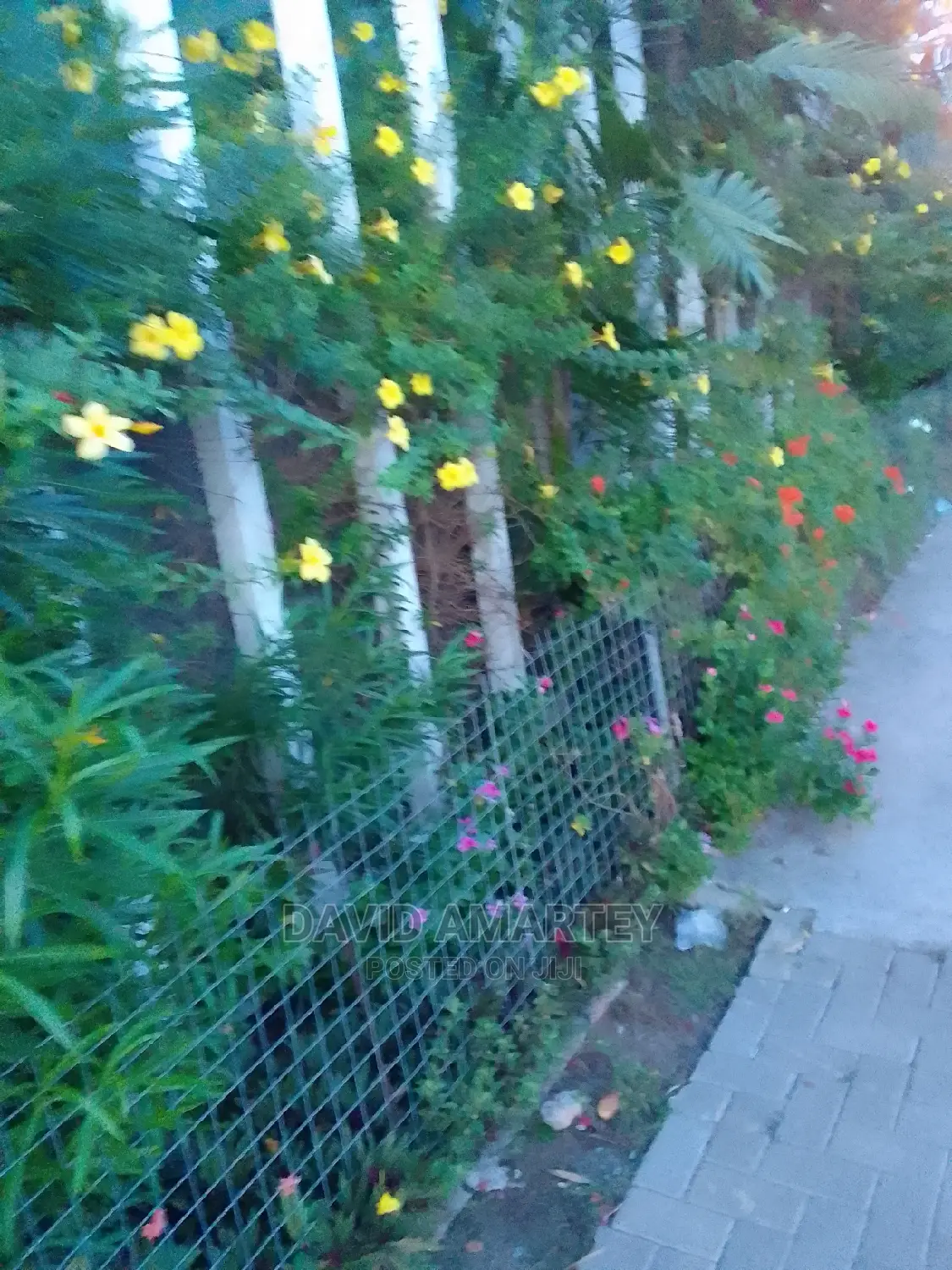 Landscaping Experts
