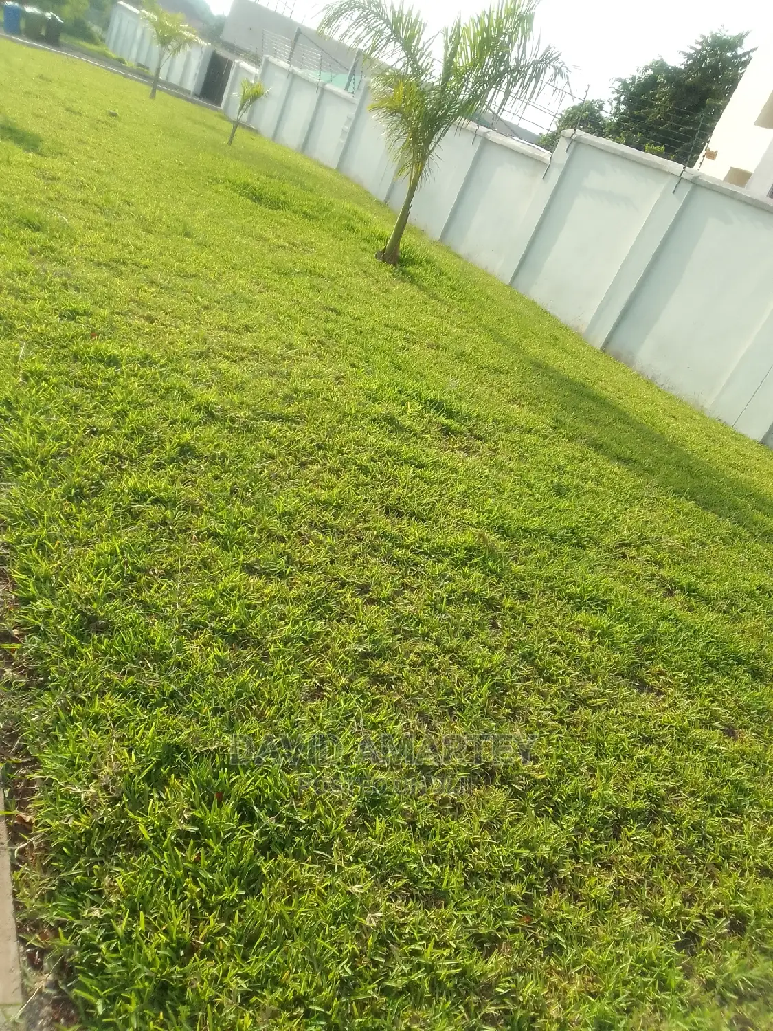 Landscaping Experts