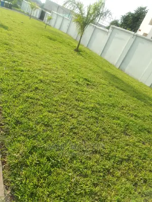 Landscaping Experts