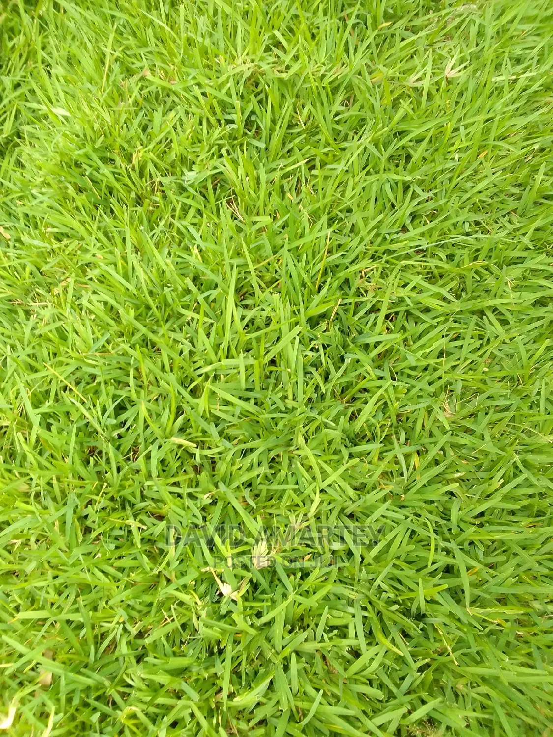 Landscaping Experts