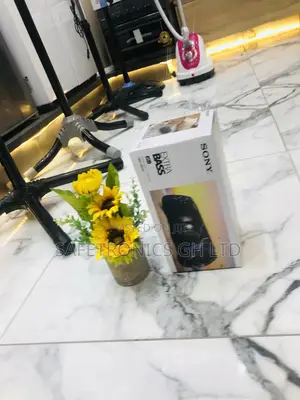 Potable Bluetooth Sony SRS-XB33