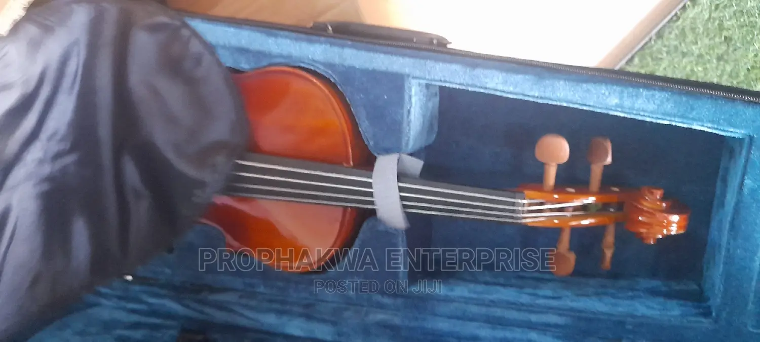 Viola ( String Instrument)