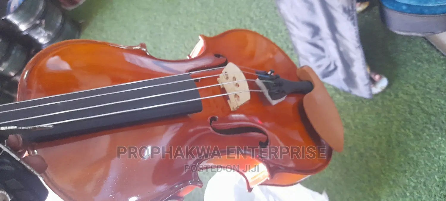 Viola ( String Instrument)