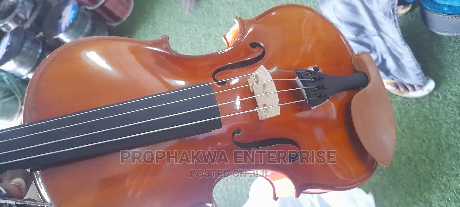 Viola ( String Instrument)