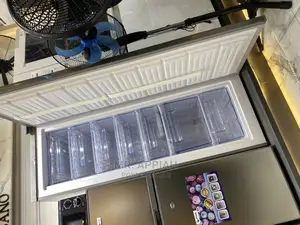Durable and Affordable Pearl Upright Freezer (PUF-370)