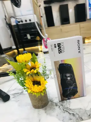 Sony SRS-XB33 EXTRA BASS Bluetooth Speaker