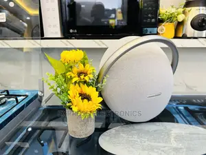 Classic New Sleek Grey Onyx 8 Bluetooth Speaker
