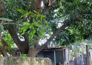 10bdrm House in Dzorwulu for Sale
