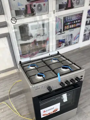 Cook Delicious Meals in With Chigo Auto Ignition Cooker 