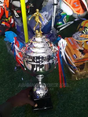 Original Trophy At Cool Price PLUS Free Delivery