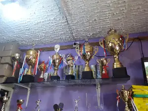 Original Trophy At Cool Price PLUS Free Delivery