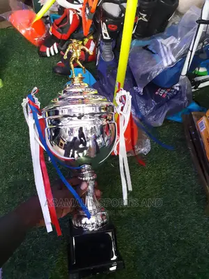 Original Trophy At Cool Price PLUS Free Delivery