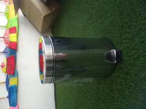 Stainless Steel Chrome 20litres Pedal Dustbin