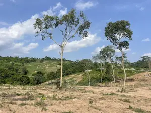 A Genuine Plots of Land for Sale at Abrui