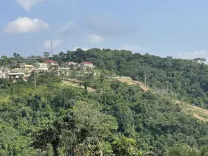 Genuine and Litigation Free Plot of Land for Sale at Abrui