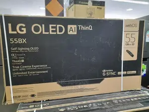 Durable and Affordable LG 55 Inch BX Series Tv(OLED55BXPVA)
